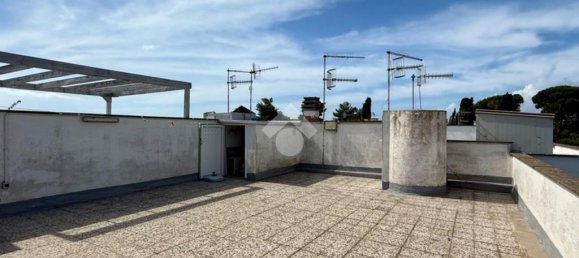 1 غرف نوم شقة في Montalto di Castro, Italy رقم 320839 17