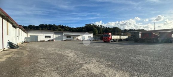 Коммерческая недвижимость 5549м² в Марчеллинара, Италия № 379548 15