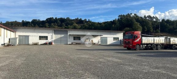 Коммерческая недвижимость 5549м² в Марчеллинара, Италия № 379548 5