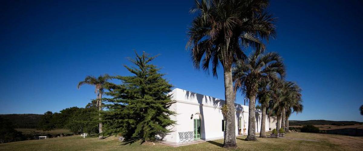  Farm in Maldonado, Uruguay No. 15712