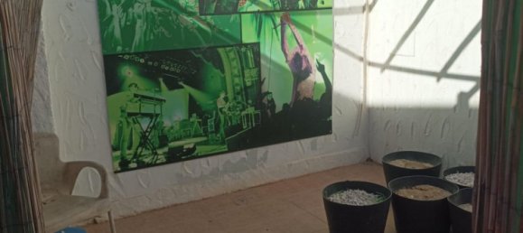 Коммерческая недвижимость 245м² в Гуардамар-дель-Сегура, Испания № 10938 15