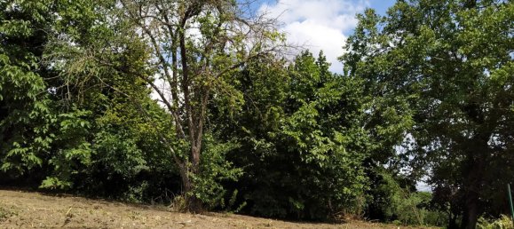 4غرفة منزل في Montemiletto, Italy رقم 255382 9