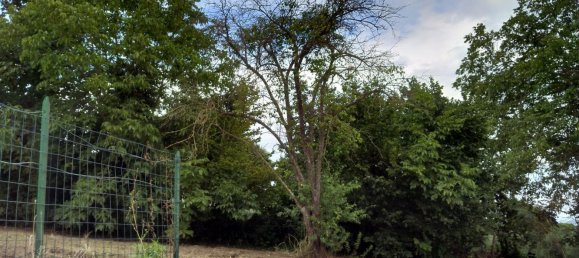 4غرفة منزل في Montemiletto, Italy رقم 255382 11