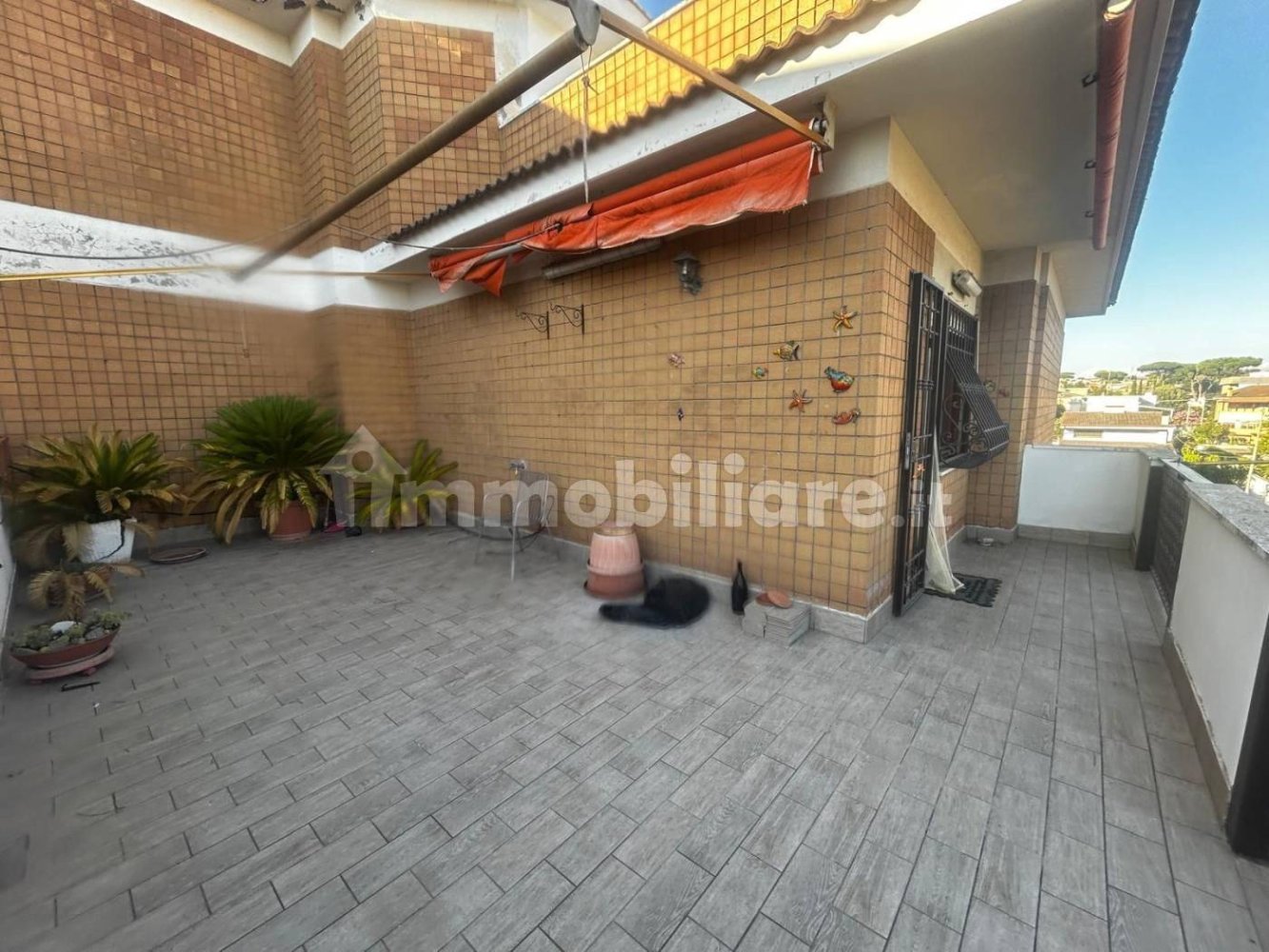 1 chambre Penthouse à Anzio, Italy No. 272697