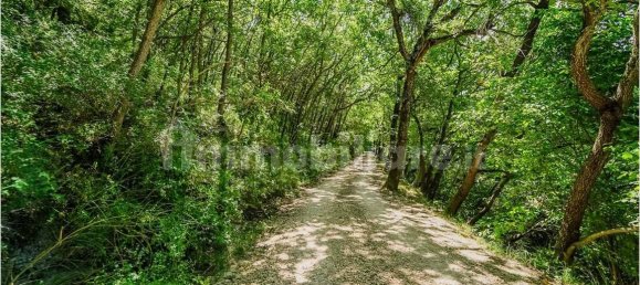 Дом с 9 спальнями в Урбино, Италия № 267181 5