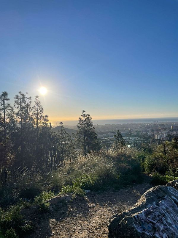 Terreno en Puerto De La Torre, Spain 878 m² No. 231609