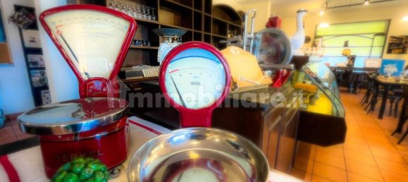 5-Zimmer Gewerbliche Immobilie in Noceto, Italy, Nr. 11872 7