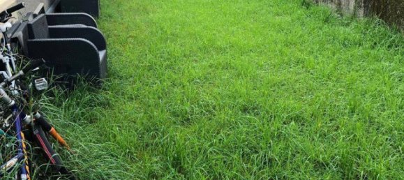 Студия в Зекирхен ам Валлерзе, Австрия № 62599 5