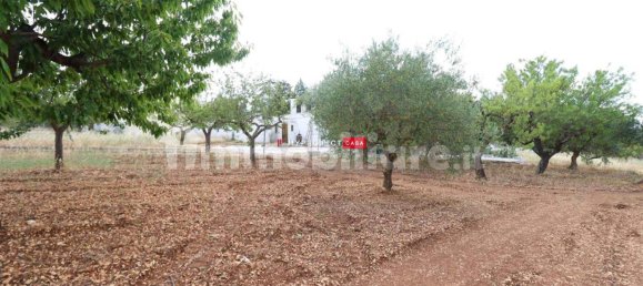 4 bedrooms House in Martina Franca, Italy No. 276573 38