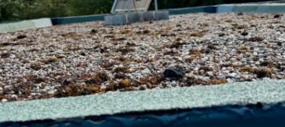  موقف سيارات في Ludwigsburg, Germany رقم 279596 3