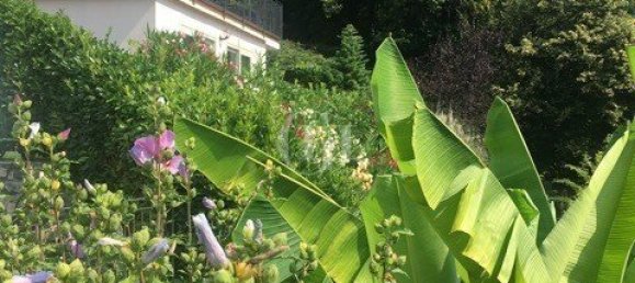 4 chambres Villa à Dizzasco, Italy No. 58315 28