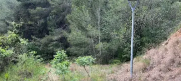 Terreno en Castellvell del Camp, Spain No. 144778 4