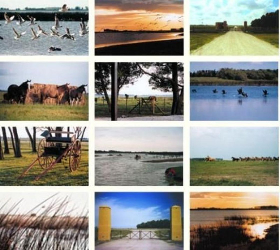  مزرعة في Buenos Aires, Argentina رقم 114383