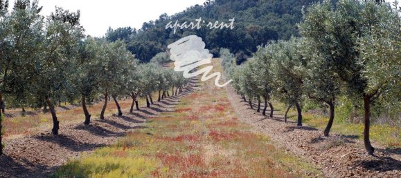 400m² Land in Garriguella, Spain No. 73563 6