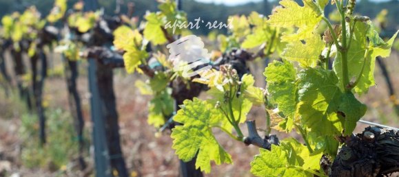 400m² Land in Garriguella, Spain No. 73563 2