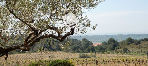 400m² Land in Garriguella, Spain No. 73563 5