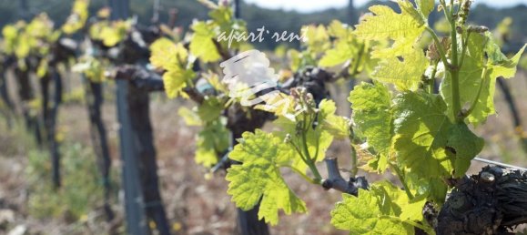 400m² Land in Garriguella, Spain No. 73563 36