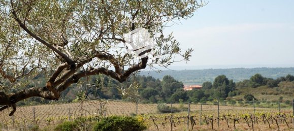 400m² Land in Garriguella, Spain No. 73563 39