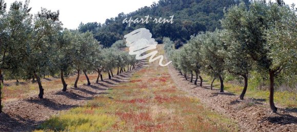 400m² Land in Garriguella, Spain No. 73563 40