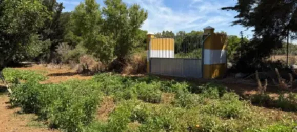 4 bedrooms House in Cadiz, Spain No. 172568 20