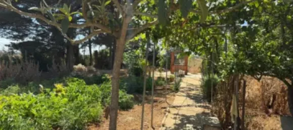 4 bedrooms House in Cadiz, Spain No. 172568 23