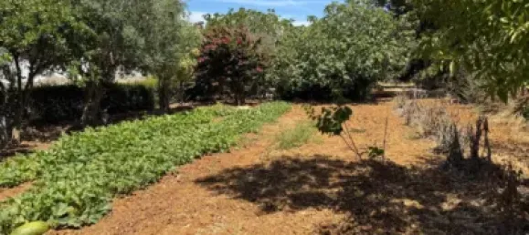 4 bedrooms House in Cadiz, Spain No. 172568 19