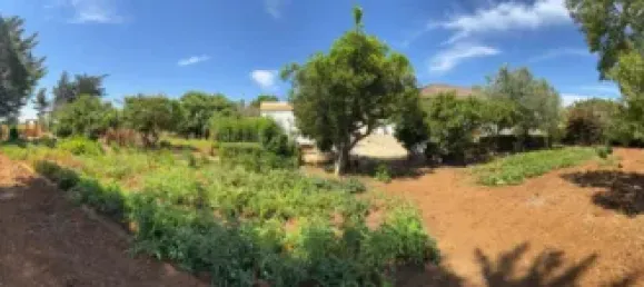 4 bedrooms House in Cadiz, Spain No. 172568 18