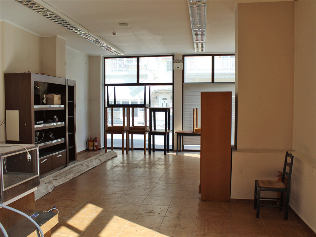 112m² Property in Dion, Greece No. 5161