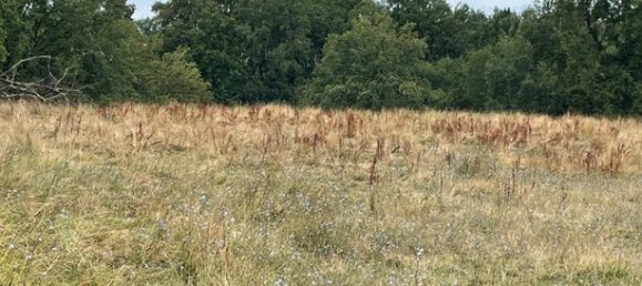 5 غرف نوم منزل في Gourdon, France رقم 301760 8