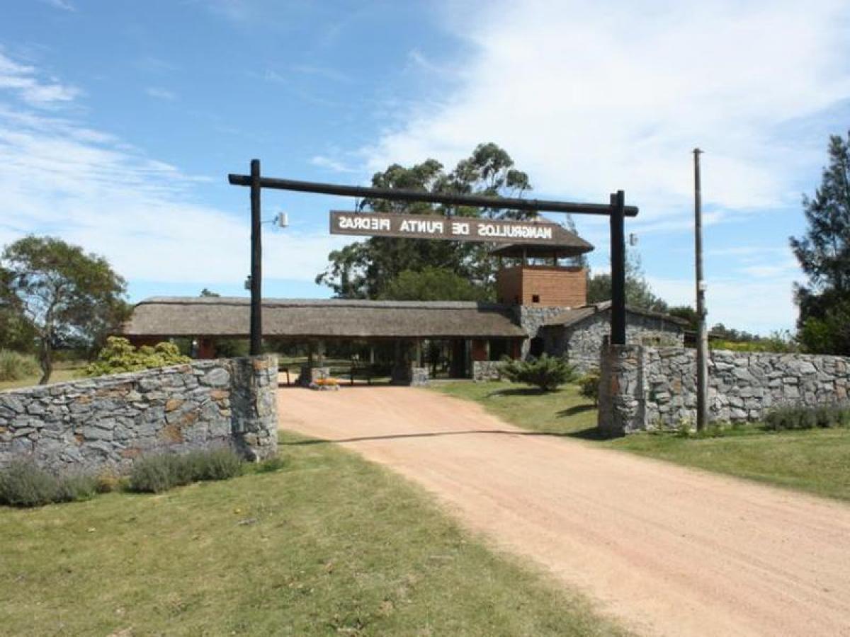  Land in Maldonado, Uruguay No. 16107