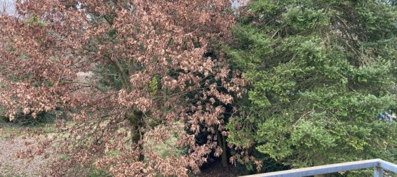 5غرفة منزل في Braunau am Inn, Austria رقم 55298 2