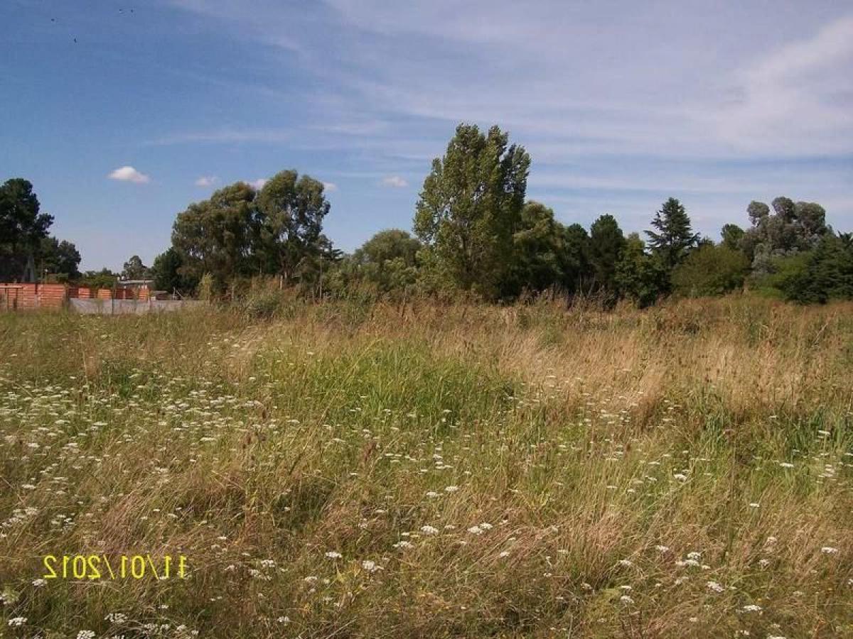  Land in Ezeiza, Argentina No. 42652
