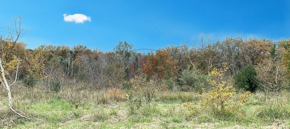 6712m² Land in Brouilla, France No. 342116 2