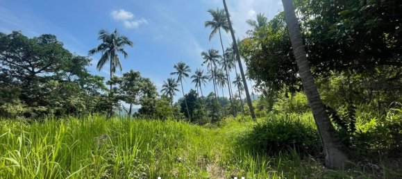 Commercial property in Ko Samui, Thailand No. 13491 2