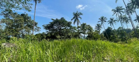 Commercial property in Ko Samui, Thailand No. 13491 6