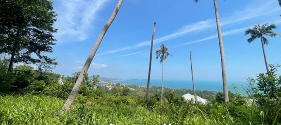 Commercial property in Ko Samui, Thailand No. 13491 3