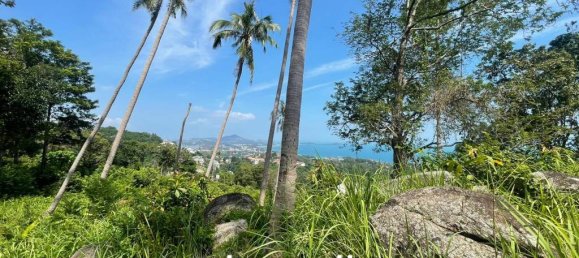 Commercial property in Ko Samui, Thailand No. 13491 5