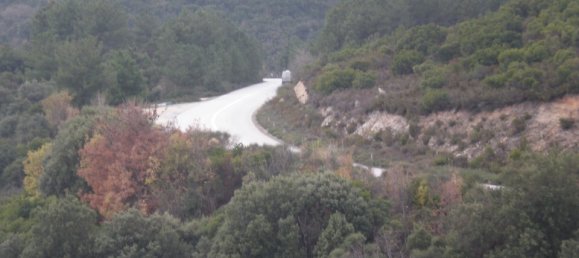  قطعة أرض في Chalkidiki, Greece 4785000متر مربع رقم 93923 18