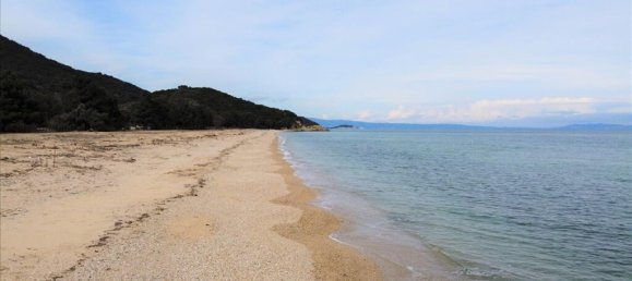 قطعة أرض في Chalkidiki, Greece 4785000متر مربع رقم 93923 6
