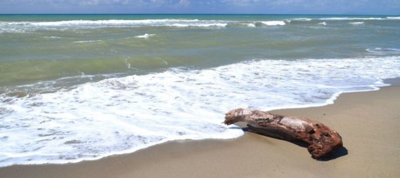 15-Zimmer Haus in Pietrasanta, Italy, Nr. 121124 17