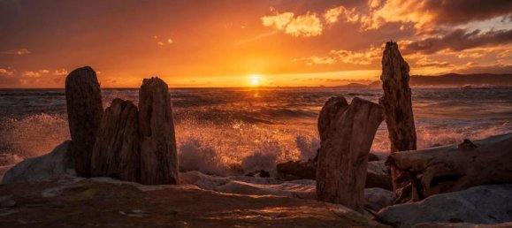 15-Zimmer Haus in Pietrasanta, Italy, Nr. 121124 10