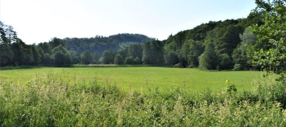 Quinta T5 em Hildesheim, Germany N.º 341304 5