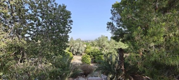 4 Schlafzimmer Haus in Albatera, Spain, Nr. 155416 30