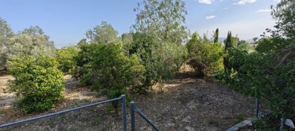 4 Schlafzimmer Haus in Albatera, Spain, Nr. 155416 42