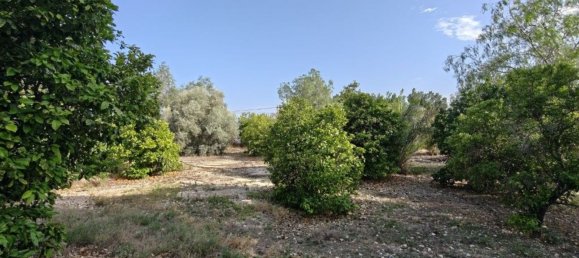 4 Schlafzimmer Haus in Albatera, Spain, Nr. 155416 43