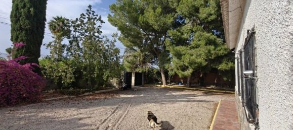 4 Schlafzimmer Haus in Albatera, Spain, Nr. 155416 3