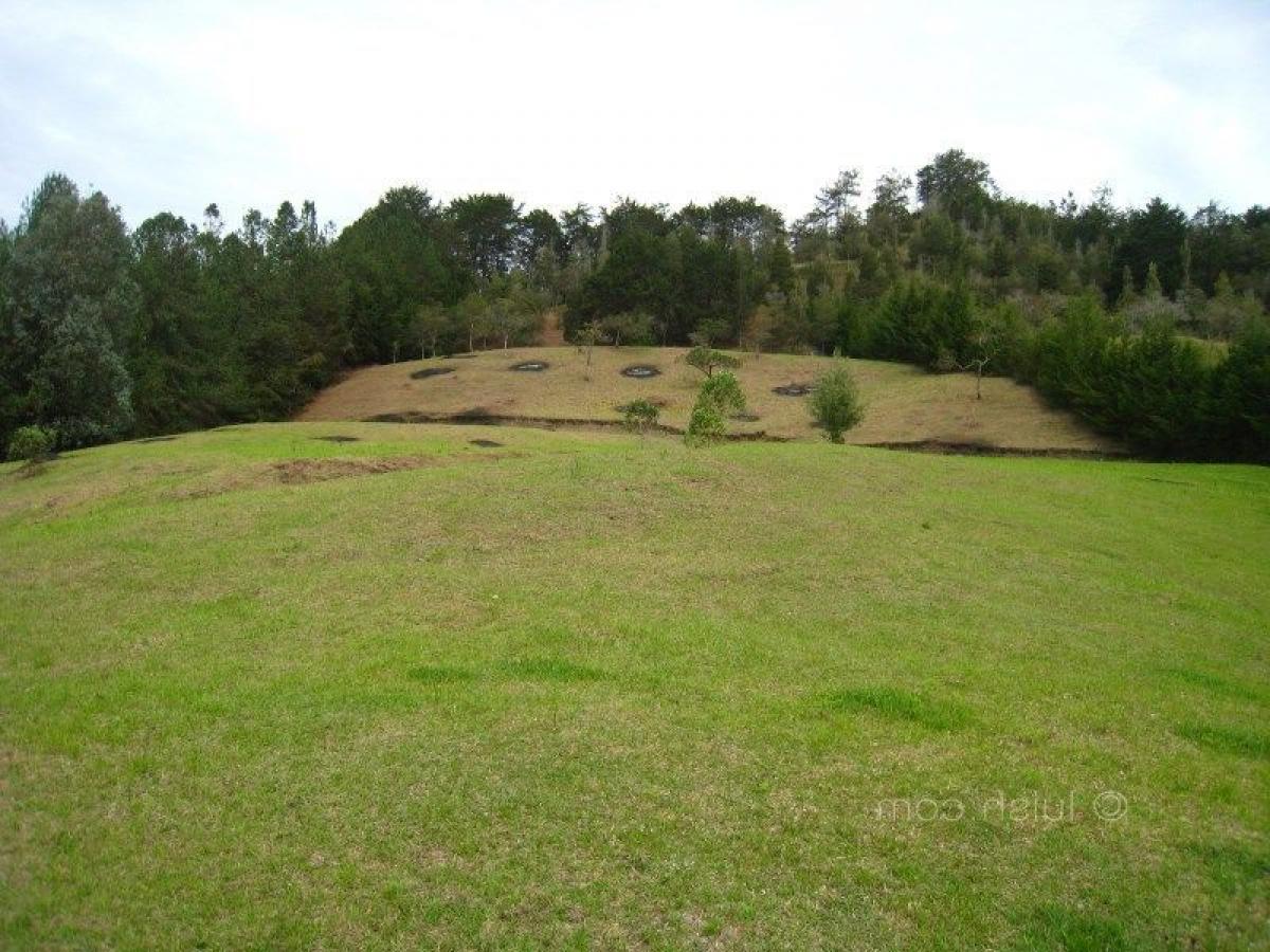  Land in Antioquia, Colombia No. 185