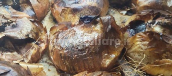 Коммерческая недвижимость с 2 комнатами в Катания, Италия № 259470 21