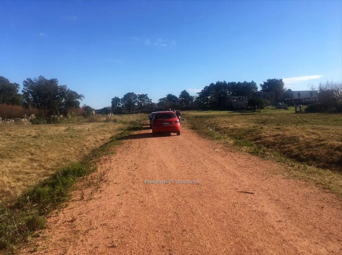  قطعة أرض في Maldonado, Uruguay رقم 15834