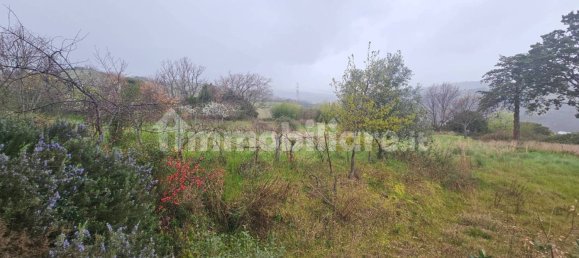 4 chambres Maison à Scansano, Italy No. 204612 14